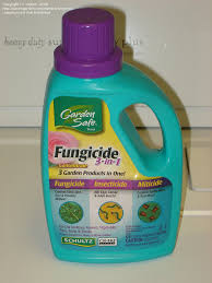 Use it on roses, flowers, houseplants, ornamental trees and shrubs, fruits and vegetables in and around the home and home garden. Beginner Gardening Azalea Bushes Have Moss Fungus Disease Pic Links Included 1 By Cwtrex