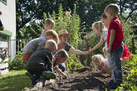 Entspricht die kita garten der stufe an qualität, die ich als kunde in dieser preisklasse erwarten kann? Gemuseackerdemie 5 Tipps Fur Den Gemuseanbau Mit Kita Kindern Die Fachseite Fur Erzieher Innen