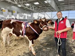 Château-Gontier. Les vaches du Sud-Mayenne primées au concours national  Rouges des Prés
