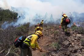 Maybe you would like to learn more about one of these? Optimismo Prudente En El Incendio De Tenerife Que Sigue Sin Ser Controlado