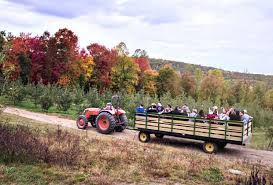 Just make sure you're watching the clock. 10 Top Apple Picking Orchards And Farms Near Nyc Mommypoppins Things To Do In New York City With Kids