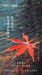 二十四节气之秋分移动端海报 movie posters poster movies