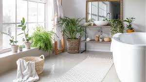 Das gilt für regale ebenso wie für zahnputzbecher seifenspender oder. 18 Pflanzen Fur Das Badezimmer Haus Garten Profi