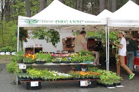 Maybe you would like to learn more about one of these? Mayor Sarno Visits Farmers Market In Forest Park