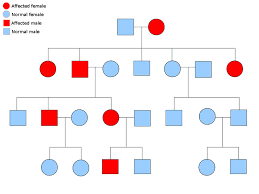 an example pedigree chart of an autosomal dominant disorder