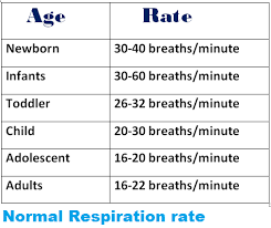 Image result for Respiratory Rate