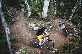 Learn what to do with lost items found on your island, as well as how to give them back to its owner or get rid of them in animal crossing: The New Mountain Bike Track In Kosciuszko National Park Australian Geographic