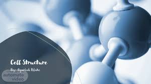 Cytoplasmic matrix contains glycolytic enzymes and structural materials such as sugars it is found only in the animal cell and it is a tiny spheroid particles which consist of hydrolytic enzyme. Cell Structure Automate Video