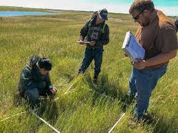 Mwmo Nature Conservancy Partner To Forge New Environmental Career Pathways For Urban Teens Mwmo