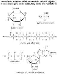 Adenosine Triphosphate Definition Structure Function Facts Britannica