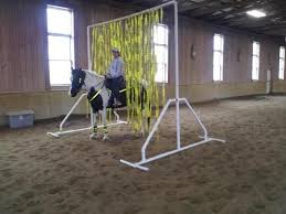Pick up your halloween bundle 4 in 1 pc copy from green man gaming today and remember to sign in for our best price. 120 Hippotherapy And Therapeutic Riding Ideas Horse Therapy Equine Therapy Therapeutic Horseback Riding