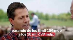 Si Peña gasta como hasta ahora, terminará su sexenio dándole 60 mil  millones a los medios: Fundar