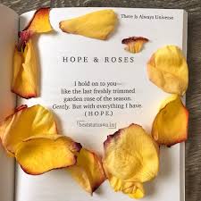 Flower quotes and puns are a fun and unique way to show your valentine just how much you care, without breaking the bank. 100 Best Quotes For Flower Lovers Cute Whatsapp Status For Flower