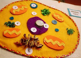Ican just give an idea. 15 Best Cell Model Project Ideas Without Styrofoam Cell Model Project Cell Model Cells Project