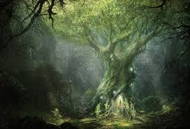 Un anillo para el señor oscuro en su trono oscuro en la tierra de mordor, donde se encuentran las sombras. Fondos De Pantalla 1920x1300 Px Art Fantasia Bosque Ilya En Senor Lotr Revista Magico Nazarov Norte De Anillos Firmar El Arbol Arboles Guerra 1920x1300 Coolwallpapers 1494127 Fondos De Pantalla Wallhere