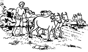 Pin On Fmp Spirals Research Man Farming Illustration Research