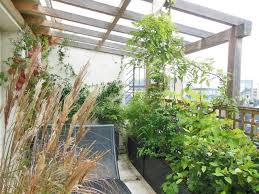 Posted on september 17, 2018 by shandra. Balcon Plein Sud Plantes Et Amenagement Cote Maison