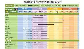Zone 8 Herbs Plants Flower Chart