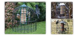 Je Ne Veux Pas De Pies Pas De Pigeons Et Pas D Etourneaux Oisillon
