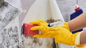 They can appear as flat, bumpy, fuzzy, or even powdery. How Much Mold Exposure Is Harmful