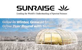 Sqb2000 by sunraise medical marijuana lamp. Amazon Com Led Grow Light Sunraise Qb2000 3x3ft 4x4ft Dimmable Led Grow Lights With Ir High Ppfd Upgraded Full Spectrum Led Growing Lamp With 648pcs Leds Commercial Grow Lights With Size 22 6 X22 6 Home