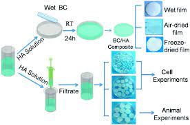 Maybe you would like to learn more about one of these? Preparation Process For Wet Air Dried Freeze Dried Cell Culture And Download Scientific Diagram