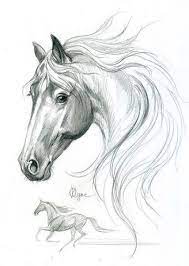 Pin On Found Drawings