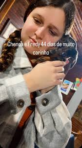 Seguro Carta Verde Chui