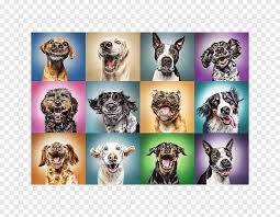 Stitch has a glitch online for free. Jigsaw Puzzles Trefl Funny Dog Portraits 1000 Piece Puzzle Puzzle Puzzle Animals Board Game Funny Stressed Dog Game Carnivoran Png Pngegg