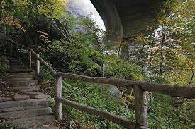 Tanawha Trail Passing Under The Linn Cove Viaduct On On Of The Many Trails Here In Our Mountains Hiking Trails Blue Ridge Parkway North Carolina Mountains