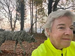 Beautiful Art Installations in Chestertown