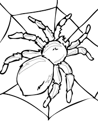 The curiosity and fascination surrounding these insects have inspired us to represent them artistically. Huge Spider Coloring Page To Print