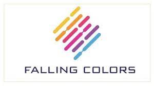 Women In Technology Scholarship Essay Contest The Falling Colors Foundation Is Now Offering The Women In Technolo Scholarship Essay Essay Contests Scholarships