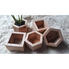 Tanaman di dalam tanah memiliki persyaratan serupa. Harga Pot Unik Kaktus Terbaru Mei 2021 Biggo Indonesia