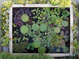 Goethe nach jahrelangen bemühungen gelungen war, die überlassung des fürstengartens als botanischer. Botanischer Garten Der Friedrich Schiller Universitat Jena Home Facebook