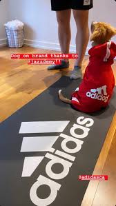 Tessa thompson photographed by clement pascal. Max Gao V Twitter Tessa Virtue And Morgan Rielly S New Dog Zoe Is Now An Adidas Or Shall I Say Adidog Model Please Excuse Me While I Rewatch The Video Of Zoe Working Every