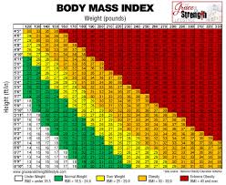 The Importance In Gaining Knowledge About Our Body Mass