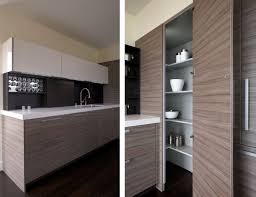 Contemporary Corner Kitchen Pantry Diy Corner Kitchen Pantry Kitchen Design Ideas Corner Kitchen Pantry Corner Pantry Pantry Design
