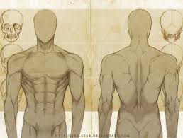 Human body anatomy male man , front and back muscular system of muscles. Male Anatomy By Jinx Star Guy Drawing Anatomy Art Male Figure Drawing