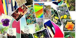 Digital Photo Sorting