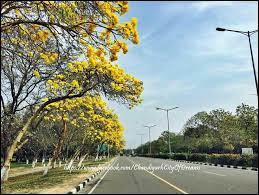 Chandigarh Roads Chandigarh Country Roads City