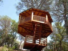 Vea paso a paso cómo plantarlo. Las 15 Mejores Cabanas Para Dormir En Los Arboles De Espana 101cabanas Cabanas Pequena Arquitectura Y Viajes