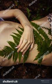 Human Body Forest Naked Female Body Stock Photo 1331276276 | Shutterstock