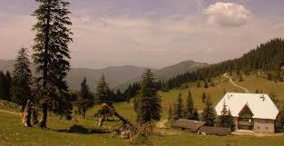 Vânzare, chirie case cu 1, 2, 3 nivele. Vocea Biz NemÅ£ii Si Austriecii CumpÄƒrÄƒ Satele PÄƒrÄƒsite Casele Din Zona MunÅ£ilor Poiana RuscÄƒ Sunt Cele Mai Atractive Vocea Biz