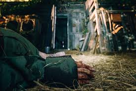 They will have to fight. Nobody Sleeps In The Woods Tonight Horrorfilme Der 2020er Independent Forum Fur Film Games Und Musik Streaming Dvd Und Blu Ray Info