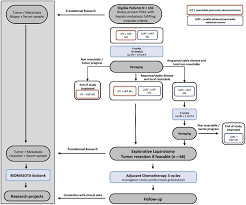 We did not find results for: Non Randomised Open Phase Ii Trial Investigating Liposomal Irinotecan And 5 Fluorouraci Followed By Surgical Resection In Patients With Hepatic Oligometastatic Pancreatic Cancer Holipanc European Journal Of Surgical Oncology