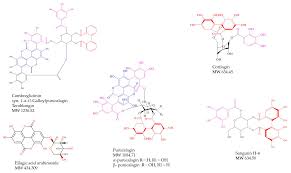 Image result for Combretum padoides