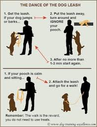 Pin By Kayla Taylor On Pet Supplies Dog Training Tips Dog Training Dog Training Obedience