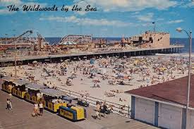 Tram Ride In Wildwood Postcard Wildwood Boardwalk Wildwood Wildwood Nj