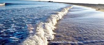 افضل 9 انشطة في شاطئ شرما تبوك بالسعودية رحلاتك